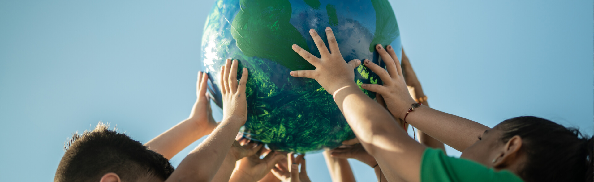 Sustainability